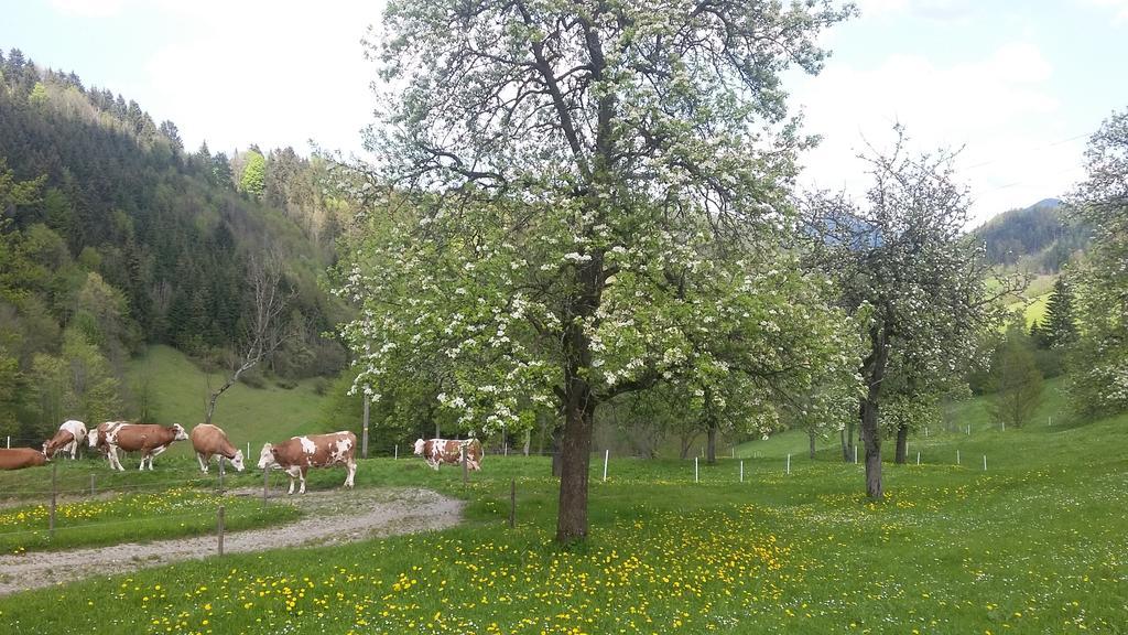 הוילה Sankt Anton an der Jessnitz Eggbauer מראה חיצוני תמונה